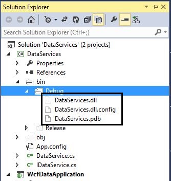 Debug Folder in Application